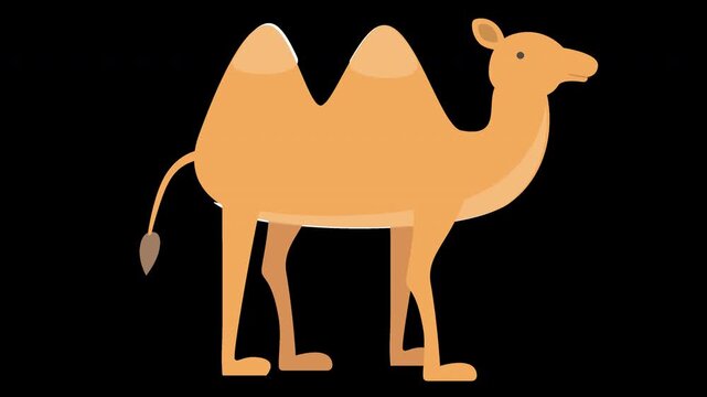 Cute Camel Illustration