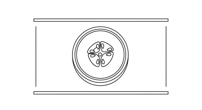 Cross section of a flower ovary showing carpels and locules, botanical illustration