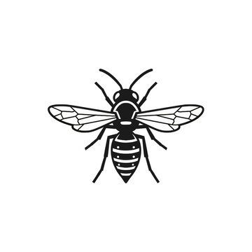 Detailed Black and White Illustration of a Wasp.
