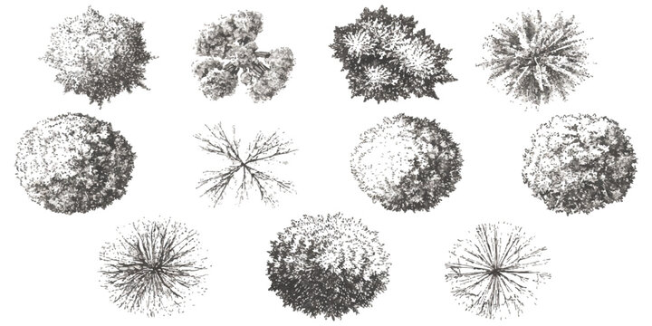 Set of black and white sketch tree top view icons for architectural landscape design and garden planning projects