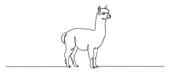 Fototapeta premium standing alpaca side view linear vector artwork