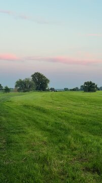 Vertical morning landscape with green meadow under pink colored sky at sunrise. Peaceful nature scene, fresh countryside atmosphere and natural beauty concept. 