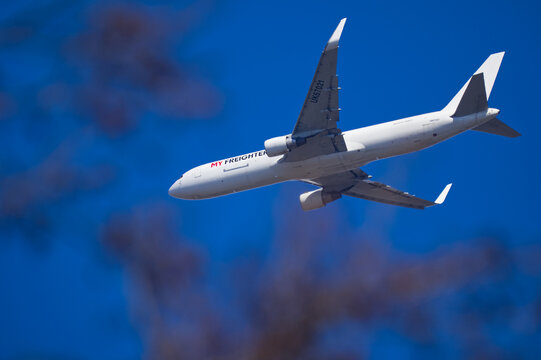 Cargo airplane Boeing 767 soaring in the blue sky framed by blurred tree branches in the foreground. Creative aviation and transport photography.