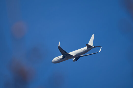Cargo airplane Boeing 767 soaring in the blue sky framed by blurred tree branches in the foreground. Creative aviation and transport photography.