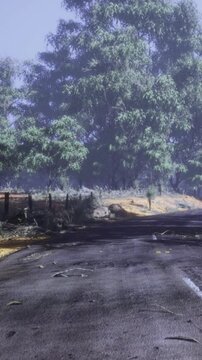 A narrow road is lined with trees and foliage. Some branches and leaves are scattered on the pavement. The sky is overcast, creating a misty scene that adds to the atmosphere.