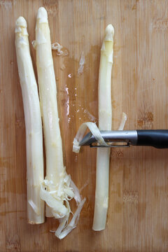 Peeling white asparagus to remove the outer layer of cellulose, preparing it for cooking.