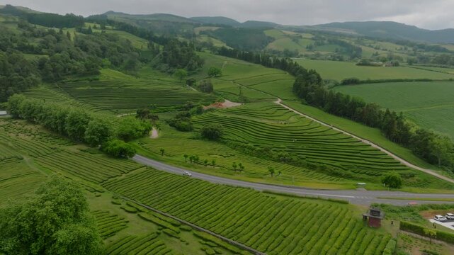 Aerial view of the sprawling Gorreana tea plantation on S o Miguel Island, featuring neatly terraced fields, winding rural roads, and surrounding lush hills under an overcast sky, Azores.