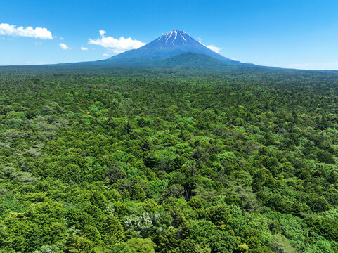 富士山と青木ヶ原樹海　日本　山梨県