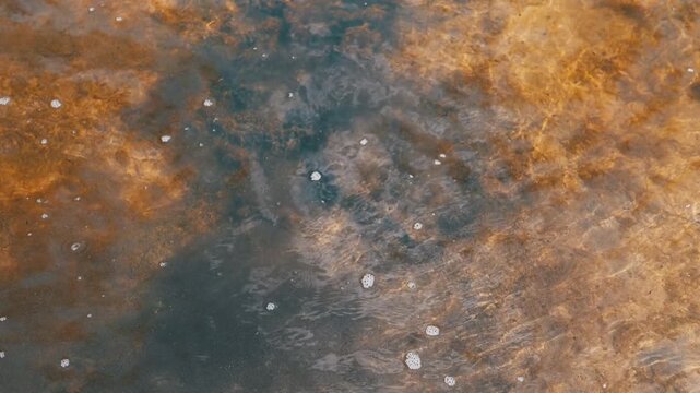 Aerial perspective reveals a murky, brown pond surface dotted with algae and floating bubbles. This detailed view showcases the unique aquatic texture of the stagnant water.