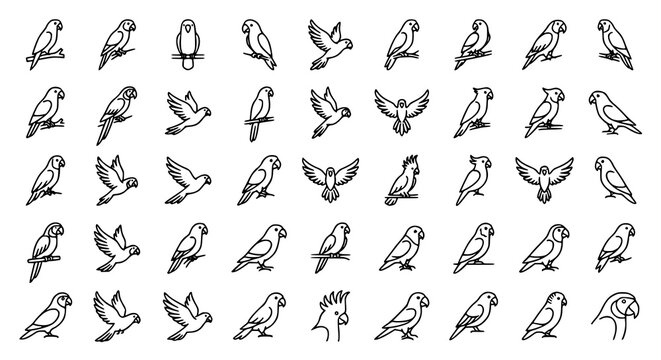 Simple parrot outline icon collection vector illustration