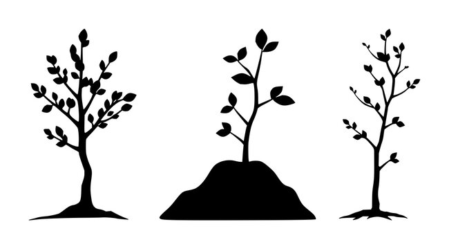 Tree sapling set with solid black icon on white background featuring reforestation, growth, nature with sustainability and environment