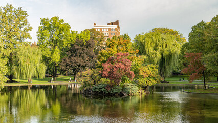 Fototapeta premium Duck Island in the pond of Boston Public Garden in the morning, Massachusetts, USA