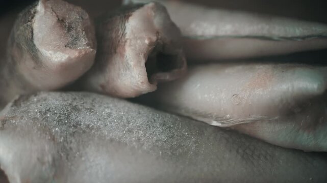 A close-up view of headless raw hake fish completely covered in thick frost and ice crystals. Concept of cold seafood storage, frozen food preservation, and commercial fishery.