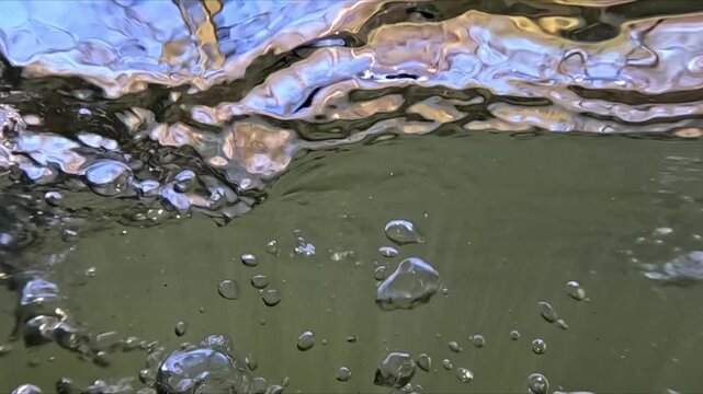 River scene showing polluted bottom with branches leaves and floating particles captured in slow motion split water perspective