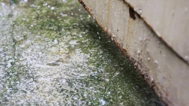 Dynamic Water Plumes Spouting from Classic European Fountain in 4K Majestic Detail