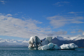Ice floating in the ocean - Iceland bay © astrug