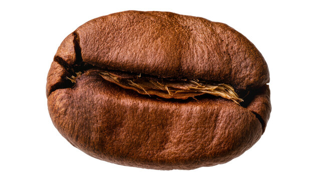 Macro view of a single roasted coffee bean with detailed texture, isolated on transparent background