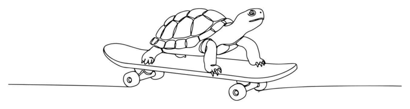 turtle riding a skateboard
