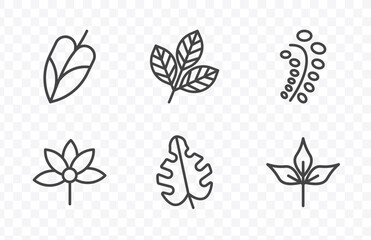 nature icon set with philodendron, rowan leaf, leaf monstera, pinnation signs in flat outline style © Abstract
