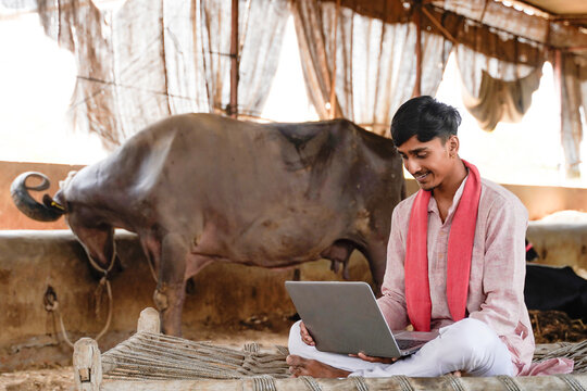 Young Indian farmer using a laptop in a dairy shed beside a buffalo blending traditional rural life with modern technology