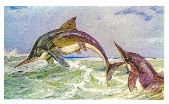 Stenopterygius. Ancient marine reptiles with long snouts leap from turbulent ocean waves. Two ichthyosaurs, ancient marine reptiles resembling dolphins, breach the surface of a rough sea under 