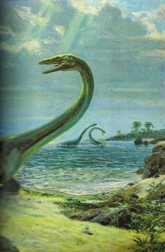 Plesiosaurus brachypterygius. Prehistoric marine reptiles with long necks swim near a tropical island shore. A group of plesiosaurs emerge from the turquoise ocean waters.