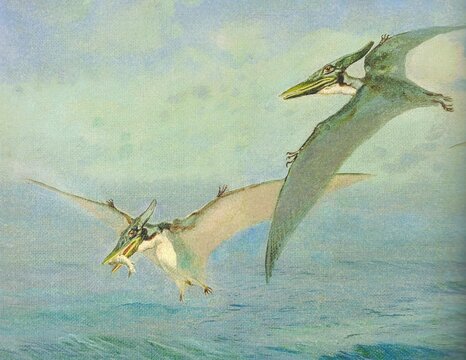 Pteranodon ingens. Two prehistoric pterosaurs flying over the ocean with one catching prey. An artistic depiction of two ancient flying reptiles soaring through a cloudy sky above a turbulent sea.