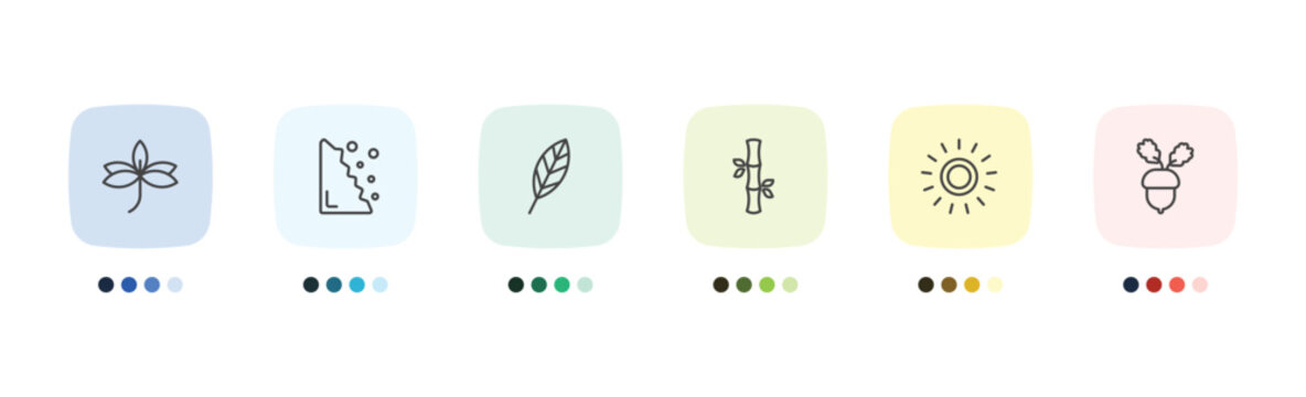 nature icon set with sprig with five leaves, falling debris, sol, nut leaf signs in flat outline style