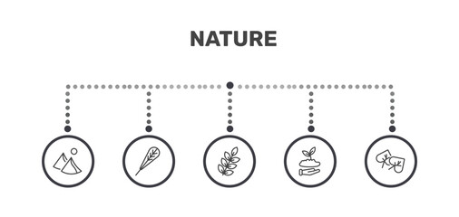 nature icon set with dune, obovate, seeding, cercis leaf signs in flat outline style © Abstract