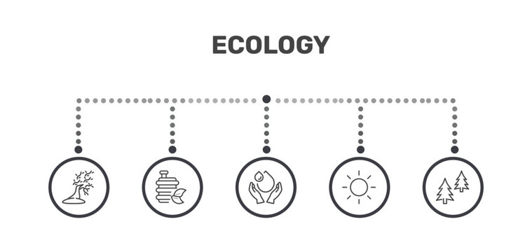 ecology icon set with wind bending tree, biofuel, sunlight, christmas trees signs in flat outline style