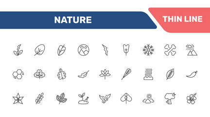 nature icon set with natural energy, apricot leaf leaf, philodendron, falcate signs in flat outline style © Abstract