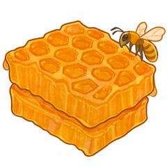 Honeycomb with Bee in Colorful Cute Cartoon Watercolor style © ป่าน อะคับ