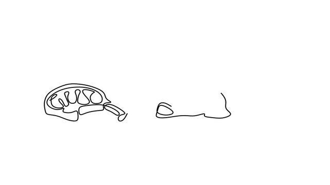 Animated self drawing of continuous line draw of  Meat Cuts Steak, Chop.   Full length one line animation. 4K	
