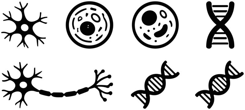 Set of biological icons including neurons cells and DNA structures.