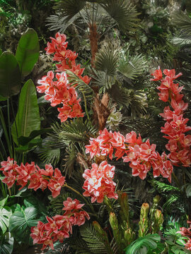 Exotic botanical jungle design with monstera foliage and pink hibiscus flowers.