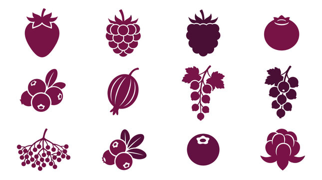 Flat silhouette vector icon set of 12 berry fruits  strawberry silhouette  raspberry silhouette  blackberry silhouette  blueberry silhouette  cranberry silhouette  gooseberry silhouette  red currant 