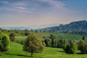Fototapeta premium Zakopane Valley Landscape with Green Meadows and Distant Mountains