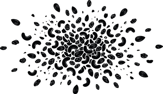 Scattered cashew nuts explosion on a white background silhouette