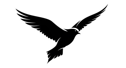 Fototapeta premium Black and white of a flying bird in mid-flight wings silhouette