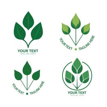 Green leaf logo eco nature vector template set