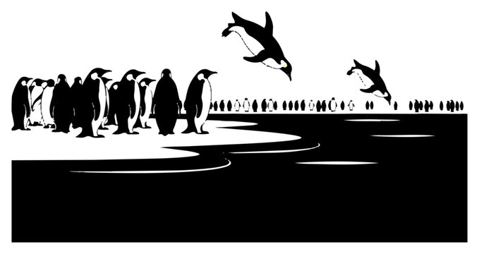 Penguin colony jumping into the ocean vector illustration