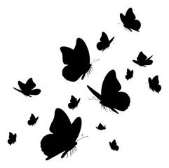 Group of Flying Butterfly Silhouettes on White Background © lineofjun