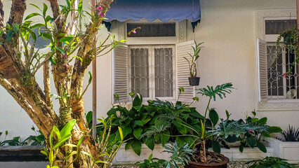 Beautiful tropical home garden with green plants and orchids in front of a classic white window. Cozy residential backyard scenery © Jassem
