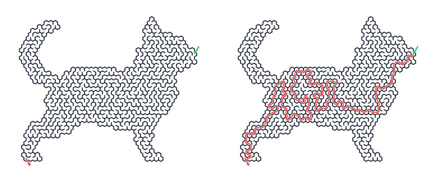 Cat maze graphic with defined outline and red path inside  