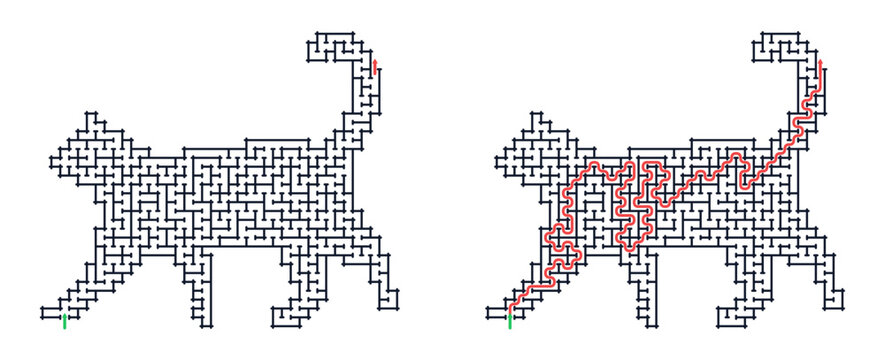 Cat maze illustration with path highlighted in red  