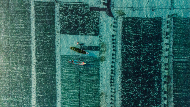Tropical beach cove with crystal water and boat in algae farm captured from above