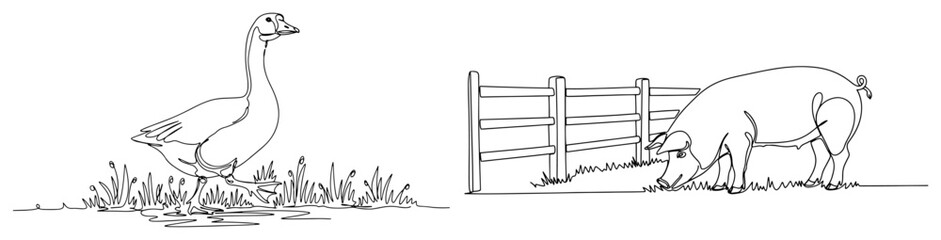 Goose and pig in farm landscape one line drawing © Katarzyna