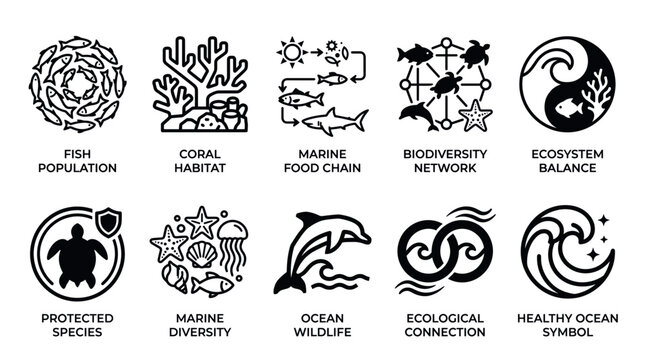 Marine Ecosystem Conservation and Ocean Biodiversity Line Icon Vector Set