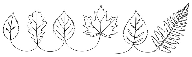 Tree leaves and fern connected in one line drawing © Katarzyna