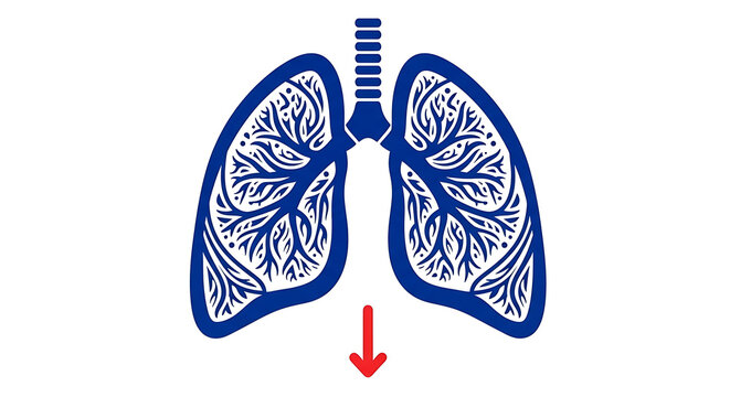 Blue lungs with bronchial tree and red arrow pointing downwards